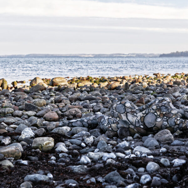 Strandsteine-Motiv aus dem Körperkunstprojekt NATURE ART des Künstlers Jörg Düsterwald