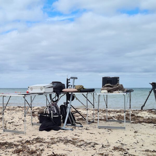 Der Arbeitsplatz des Künstler Jörg Düsterwald ist am Strand aufgebaut.