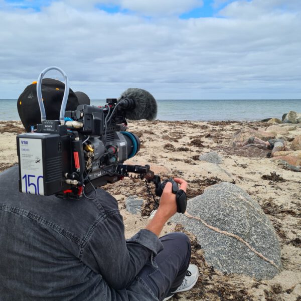 Ein Fernsehteam begleitet Künstler Jörg Düsterwald und sein Fotomodell bei der Realisierung eines Motives für sein Kunstprojekt Mensch und Natur - Farbige Symbiosen.