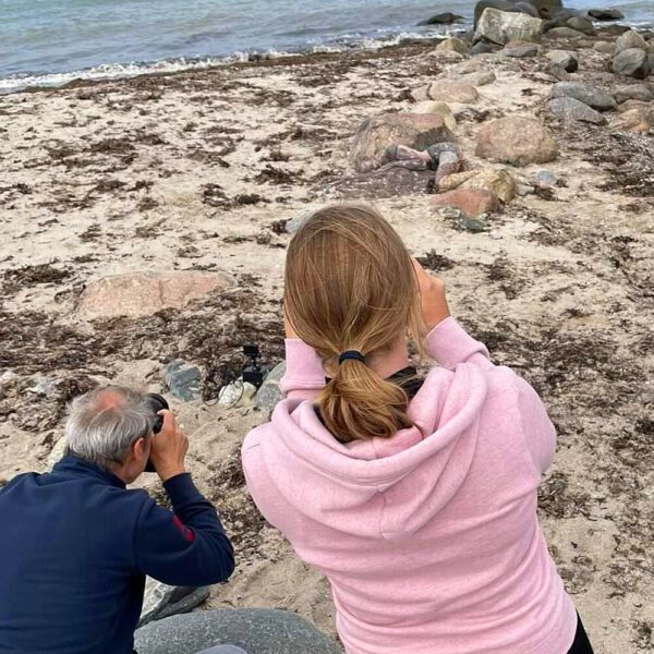 Ein nacktes Fotomodell wird für das Kunstprojekt Natureart von Künstler Jörg Düsterwald vollständig so mit Farbe bemalt, dass die Person mit der Kulisse verschmilzt.