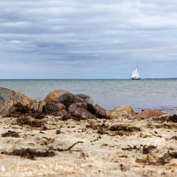 Strandmotiv aus dem Körperkunstprojekt NATURE ART des Künstlers Jörg Düsterwald mit einem Bodypaintingmodell.