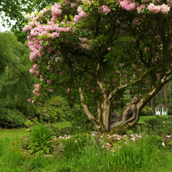 Rhododendronpark-Motiv von dem Körperkunstprojekt NATURE ART des Künstlers Jörg Düsterwald mit einem Bodypaintingmodell.