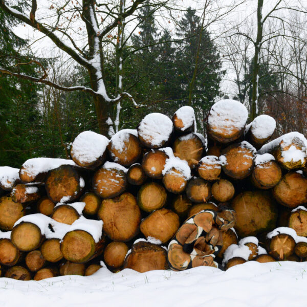 Winter-Motiv von dem Körperkunstprojekt NATURE ART des Künstlers Jörg Düsterwald mit einem Bodypaintingmodell.