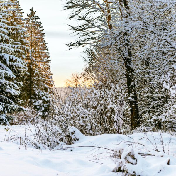 Winter-Motiv von dem Körperkunstprojekt NATURE ART des Künstlers Jörg Düsterwald mit einem Bodypaintingmodell.