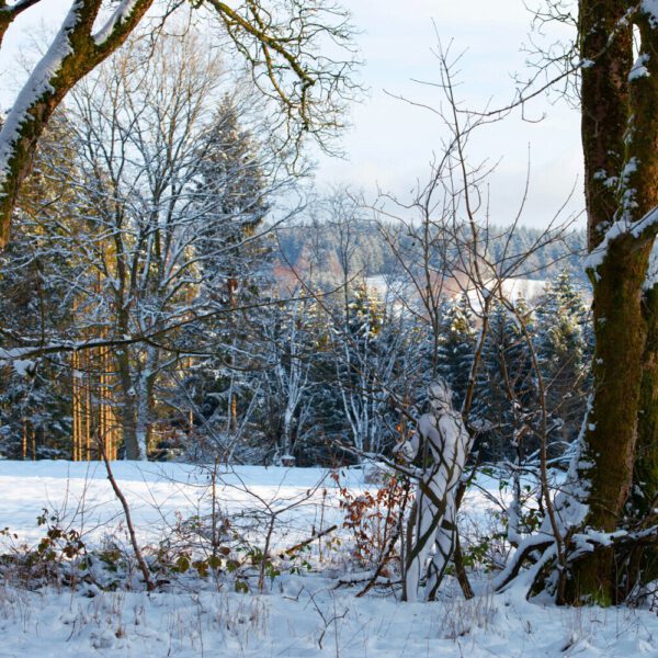 Winter-Motiv von dem Körperkunstprojekt NATURE ART des Künstlers Jörg Düsterwald mit einem Bodypaintingmodell.