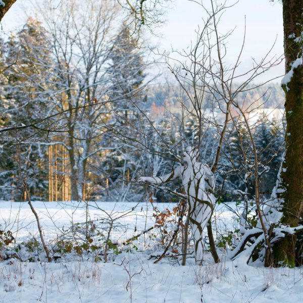 Winter-Motiv von dem Körperkunstprojekt NATURE ART des Künstlers Jörg Düsterwald mit einem Bodypaintingmodell.