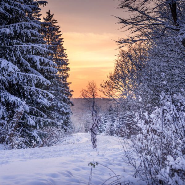 Winter-Motiv von dem Körperkunstprojekt NATURE ART des Künstlers Jörg Düsterwald mit einem Bodypaintingmodell.