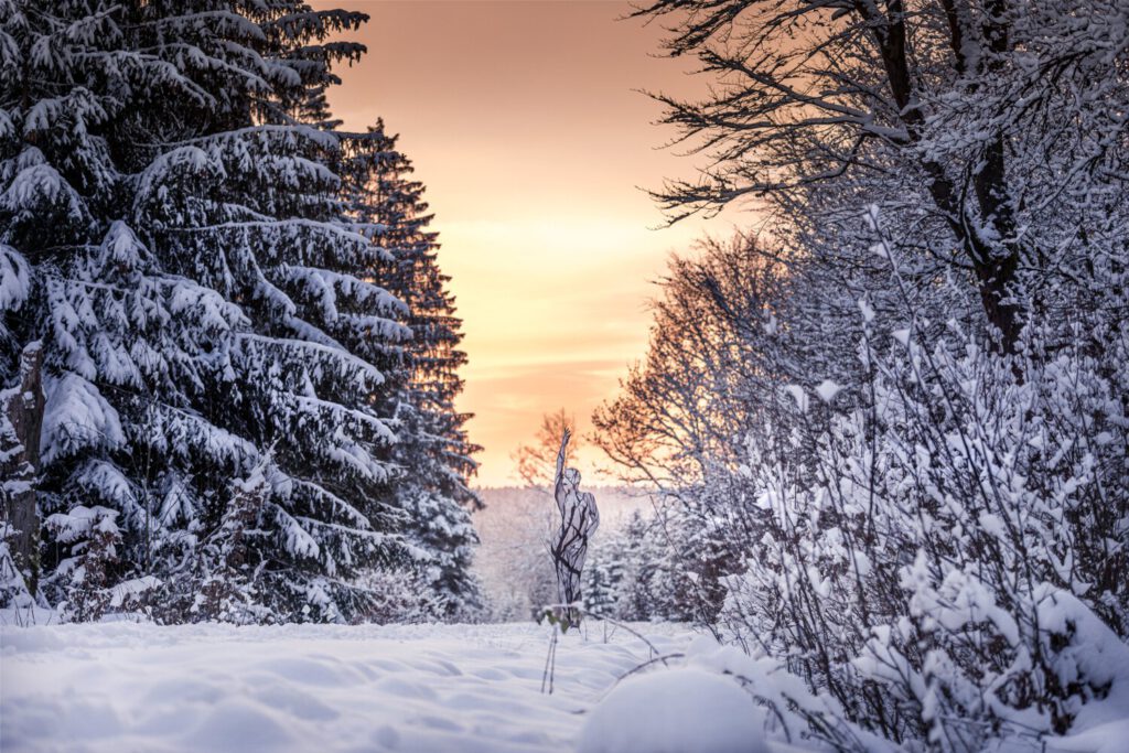 Winter-Motiv von dem Körperkunstprojekt NATURE ART des Künstlers Jörg Düsterwald mit einem Bodypaintingmodell.