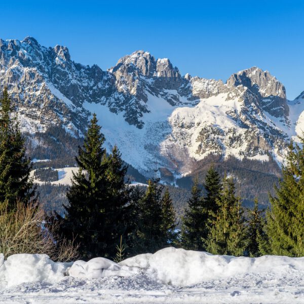 Winter-Motiv von dem Körperkunstprojekt NATURE ART des Künstlers Jörg Düsterwald mit einem Bodypaintingmodell.