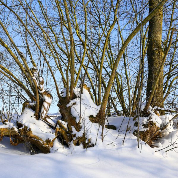 Winter-Motiv von dem Körperkunstprojekt NATURE ART des Künstlers Jörg Düsterwald mit einem Bodypaintingmodell.