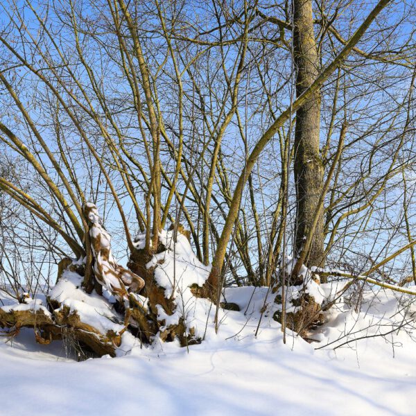 Winter-Motiv von dem Körperkunstprojekt NATURE ART des Künstlers Jörg Düsterwald mit einem Bodypaintingmodell.