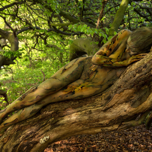 Süntelbuchen-Motiv von dem Körperkunstprojekt NATURE ART des Künstlers Jörg Düsterwald mit einem Bodypaintingmodell.