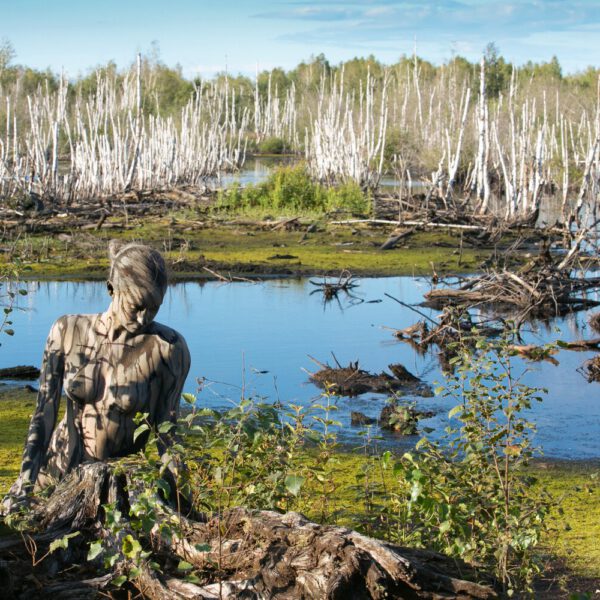 Torfmoor-Motiv aus dem Körperkunstprojekt NATURE ART des Künstlers Jörg Düsterwald mit einem Bodypaintingmodell.