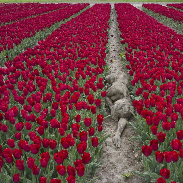 Tulpen-Motiv von dem Körperkunstprojekt NATURE ART des Künstlers Jörg Düsterwald mit einem Bodypaintingmodell.