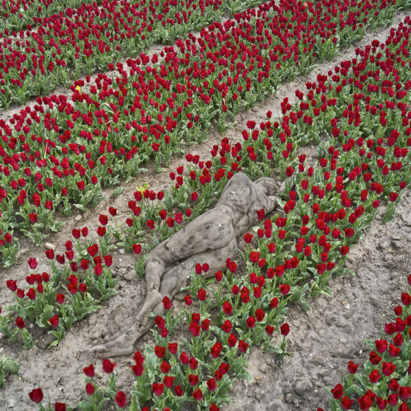 Tulpen-Motiv von dem Körperkunstprojekt NATURE ART des Künstlers Jörg Düsterwald mit einem Bodypaintingmodell.