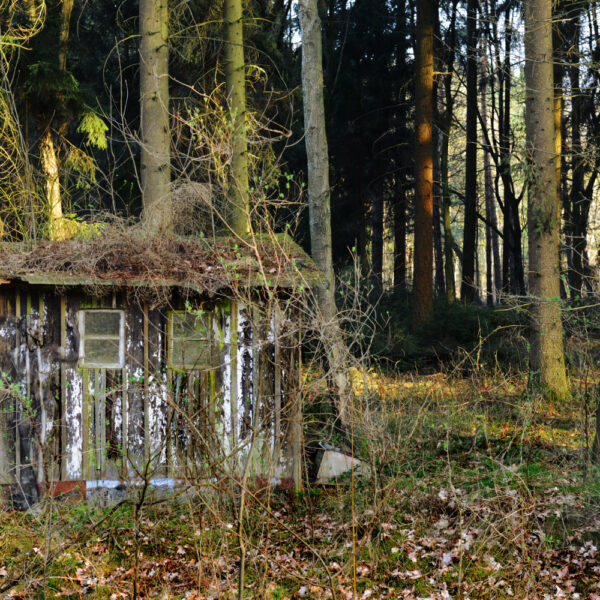 Waldhütten-Motiv aus dem Körperkunstprojekt NATURE ART des Künstlers Jörg Düsterwald.