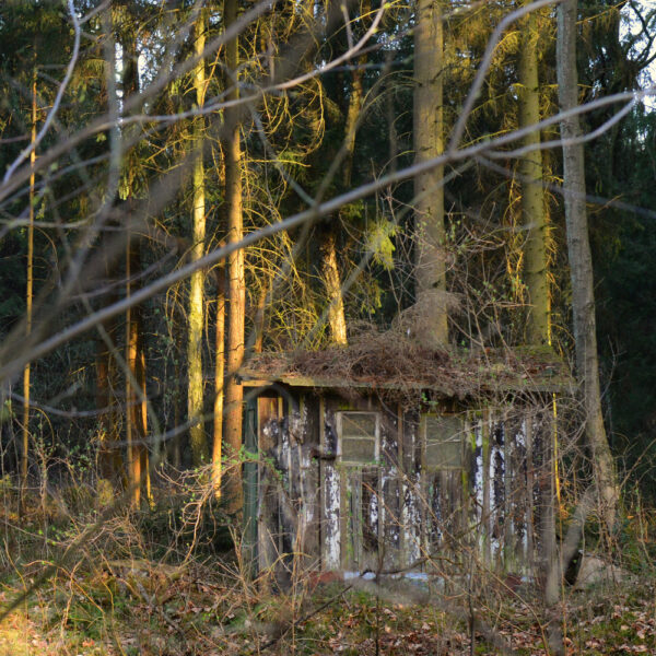 Waldhütten-Motiv aus dem Körperkunstprojekt NATURE ART des Künstlers Jörg Düsterwald.