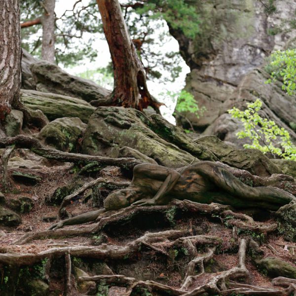 Waldfelsen-Motiv aus dem Körperkunstprojekt NATURE ART des Künstlers Jörg Düsterwald.