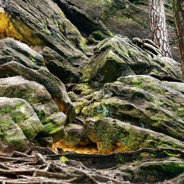 Waldfelsen-Motiv aus dem Körperkunstprojekt NATURE ART des Künstlers Jörg Düsterwald.