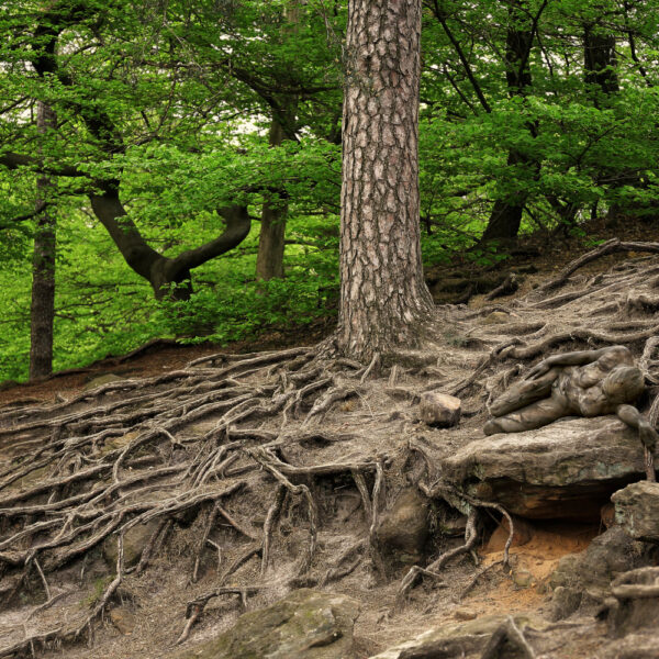 Wald-Motiv von dem Körperkunstprojekt NATURE ART des Künstlers Jörg Düsterwald mit einem Bodypaintingmodell.