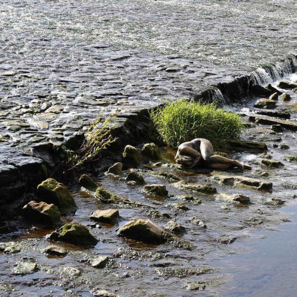 Flussmotiv aus dem Körperkunstprojekt NATURE ART des Künstlers Jörg Düsterwald