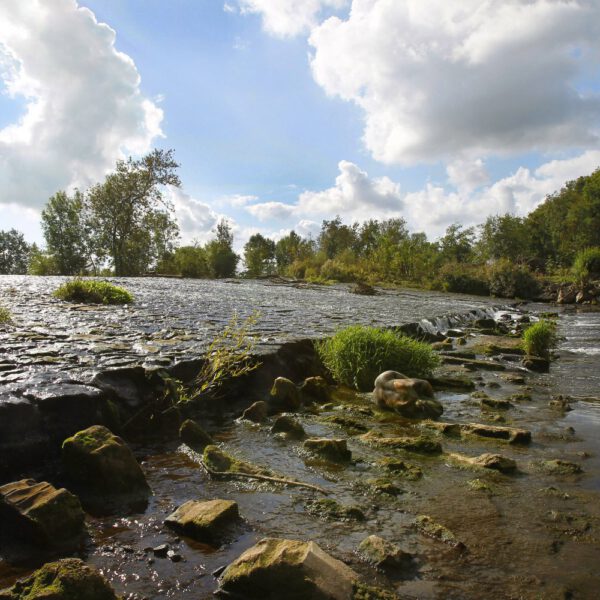 Flussmotiv aus dem Körperkunstprojekt NATURE ART des Künstlers Jörg Düsterwald