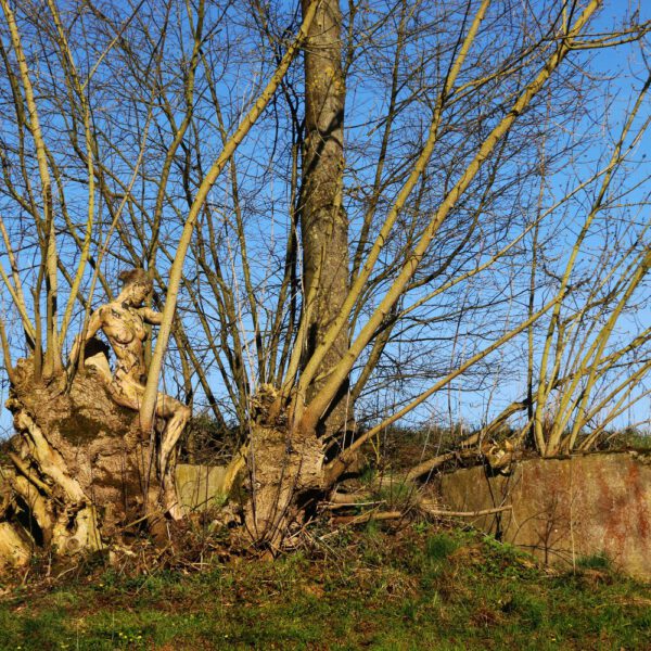 Baum-Motiv von dem Körperkunstprojekt NATURE ART des Künstlers Jörg Düsterwald mit einem Bodypaintingmodell.