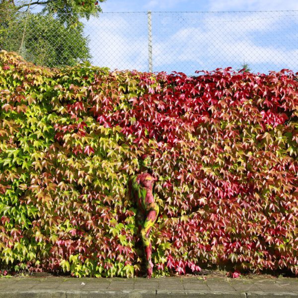 Herbstmotiv aus dem Körperkunstprojekt NATURE ART des Künstlers Jörg Düsterwald.