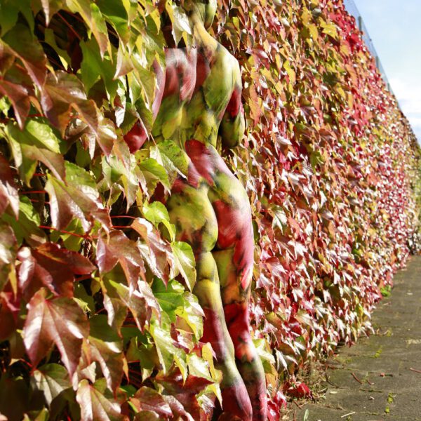 Herbstmotiv aus dem Körperkunstprojekt NATURE ART des Künstlers Jörg Düsterwald.