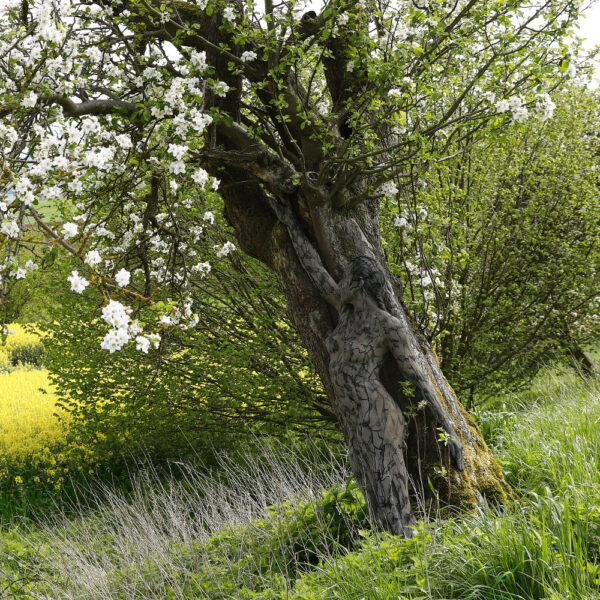 Apfelblüten-Motiv von dem Körperkunstprojekt NATURE ART des Künstlers Jörg Düsterwald mit einem Bodypaintingmodell.