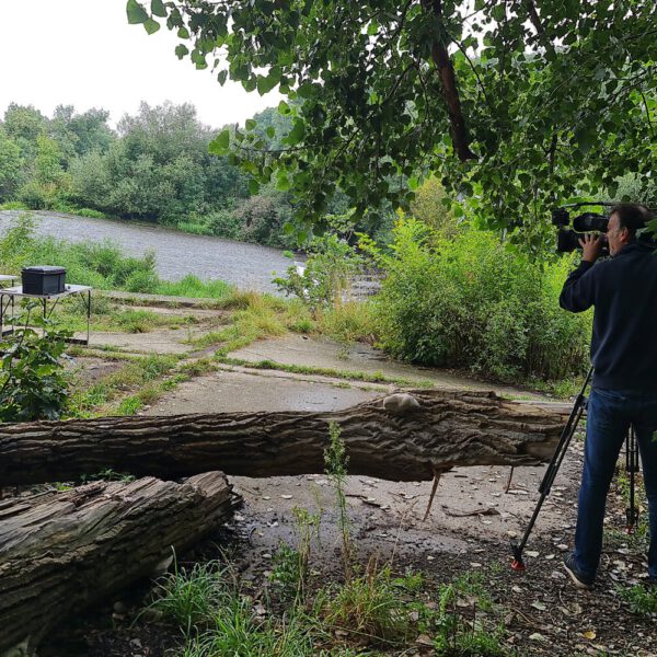 Ein Fernsehteam begleitet Künstler Jörg Düsterwald und sein Fotomodell bei der Realisierung eines Motives für sein Kunstprojekt Mensch und Natur - Farbige Symbiosen.