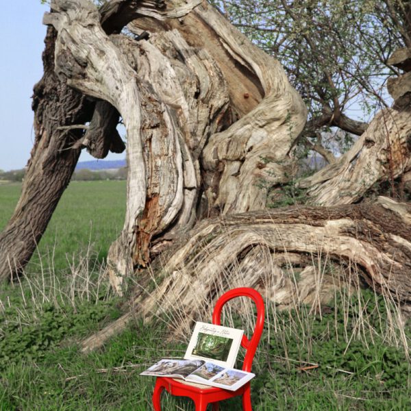 Das Buch BODYPAINTING IN NATURE von Künstler Jörg Düsterwald wird mit einem roten Stuhl an einem Originalplatz des Kunstprojektes NATURE ART gezeigt.