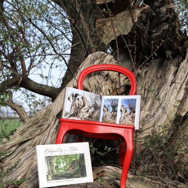 Das Buch BODYPAINTING IN NATURE von Künstler Jörg Düsterwald wird mit einem roten Stuhl an einem Originalplatz des Kunstprojektes NATURE ART gezeigt.