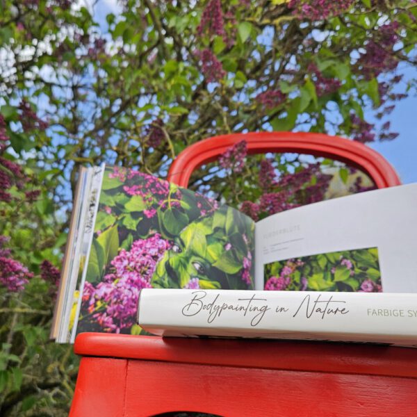 Das Buch BODYPAINTING IN NATURE von Künstler Jörg Düsterwald wird mit einem roten Stuhl an einem Originalplatz des Kunstprojektes NATURE ART gezeigt.