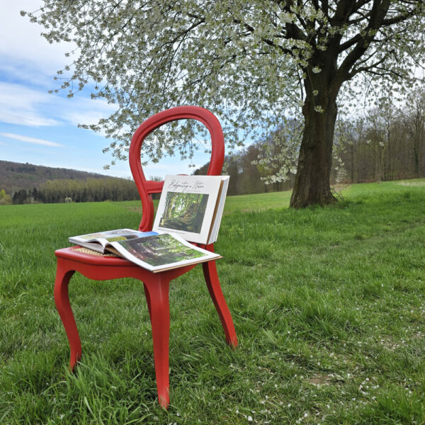 Das Buch BODYPAINTING IN NATURE von Künstler Jörg Düsterwald wird mit einem roten Stuhl an einem Originalplatz des Kunstprojektes NATURE ART gezeigt.