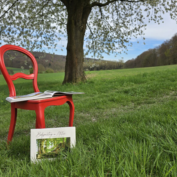 Das Buch BODYPAINTING IN NATURE von Künstler Jörg Düsterwald wird mit einem roten Stuhl an einem Originalplatz des Kunstprojektes NATURE ART gezeigt.