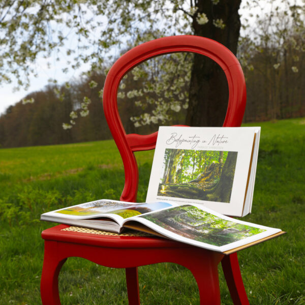 Das Buch BODYPAINTING IN NATURE von Künstler Jörg Düsterwald wird mit einem roten Stuhl an einem Originalplatz des Kunstprojektes NATURE ART gezeigt.