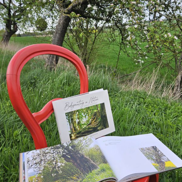 Das Buch BODYPAINTING IN NATURE von Künstler Jörg Düsterwald wird mit einem roten Stuhl an einem Originalplatz des Kunstprojektes NATURE ART gezeigt.