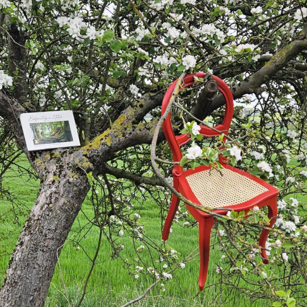 Das Buch BODYPAINTING IN NATURE von Künstler Jörg Düsterwald wird mit einem roten Stuhl an einem Originalplatz des Kunstprojektes NATURE ART gezeigt.
