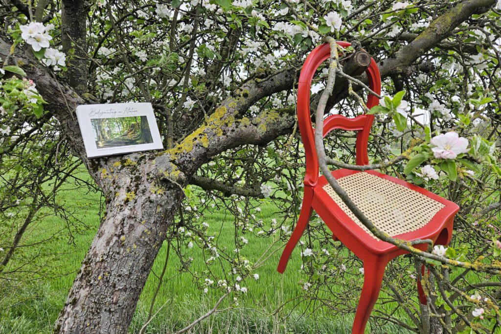 Das Buch BODYPAINTING IN NATURE von Künstler Jörg Düsterwald wird mit einem roten Stuhl an einem Originalplatz des Kunstprojektes NATURE ART gezeigt.