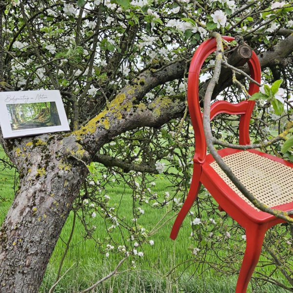 Das Buch BODYPAINTING IN NATURE von Künstler Jörg Düsterwald wird mit einem roten Stuhl an einem Originalplatz des Kunstprojektes NATURE ART gezeigt.