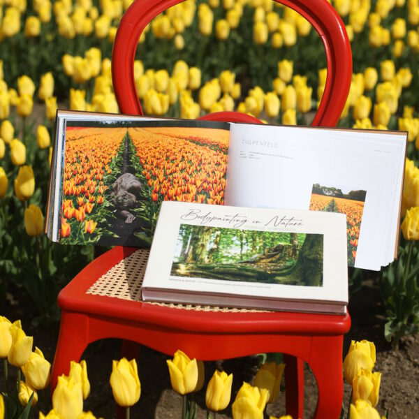 Das Buch BODYPAINTING IN NATURE von Künstler Jörg Düsterwald wird mit einem roten Stuhl an einem Originalplatz des Kunstprojektes NATURE ART gezeigt.