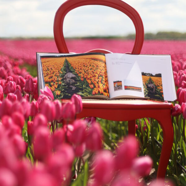 Das Buch BODYPAINTING IN NATURE von Künstler Jörg Düsterwald wird mit einem roten Stuhl an einem Originalplatz des Kunstprojektes NATURE ART gezeigt.
