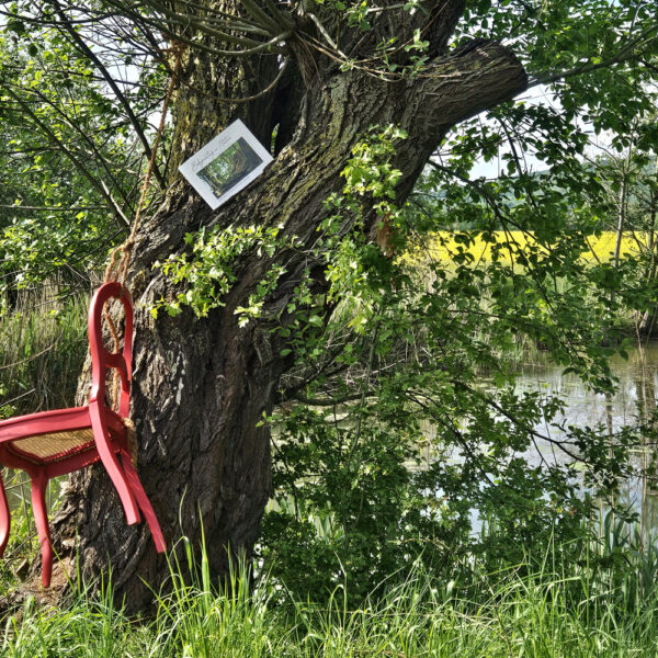 Das Buch BODYPAINTING IN NATURE von Künstler Jörg Düsterwald wird mit einem roten Stuhl an einem Originalplatz des Kunstprojektes NATURE ART gezeigt.