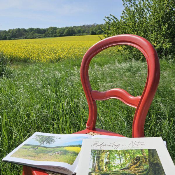 Das Buch BODYPAINTING IN NATURE von Künstler Jörg Düsterwald wird mit einem roten Stuhl an einem Originalplatz des Kunstprojektes NATURE ART gezeigt.