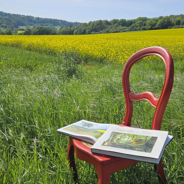 Das Buch BODYPAINTING IN NATURE von Künstler Jörg Düsterwald wird mit einem roten Stuhl an einem Originalplatz des Kunstprojektes NATURE ART gezeigt.
