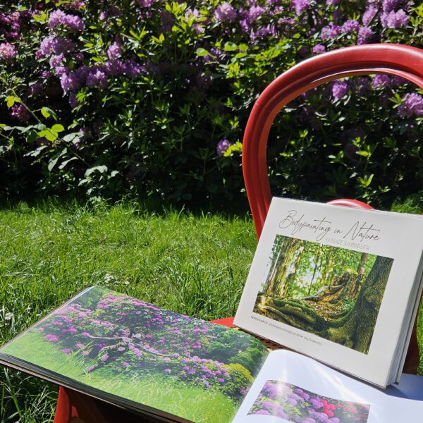 Das Buch BODYPAINTING IN NATURE von Künstler Jörg Düsterwald wird mit einem roten Stuhl an einem Originalplatz des Kunstprojektes NATURE ART gezeigt.