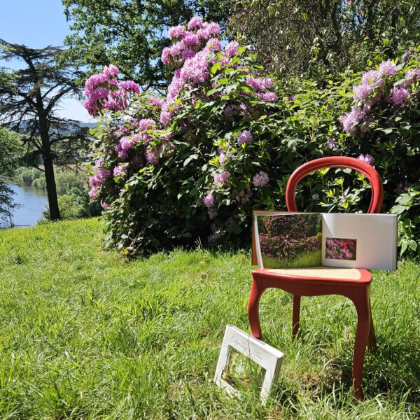 Das Buch BODYPAINTING IN NATURE von Künstler Jörg Düsterwald wird mit einem roten Stuhl an einem Originalplatz des Kunstprojektes NATURE ART gezeigt.