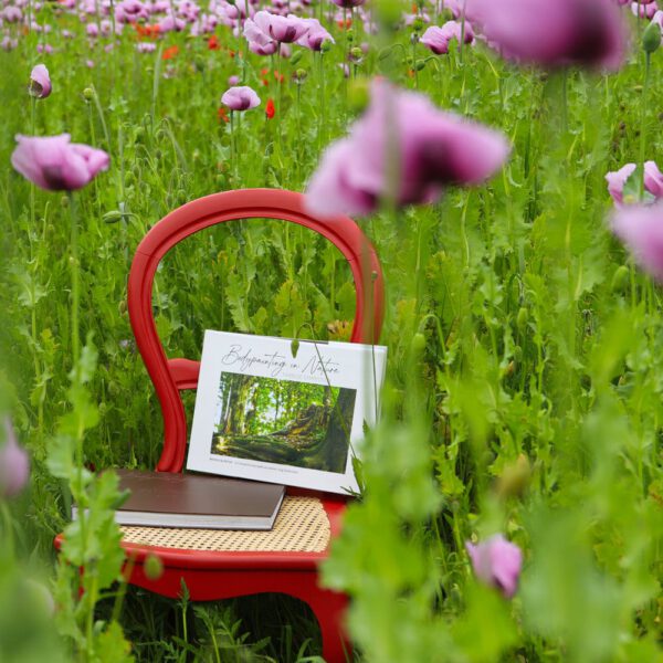 Das Buch BODYPAINTING IN NATURE von Künstler Jörg Düsterwald wird mit einem roten Stuhl an einem Originalplatz des Kunstprojektes NATURE ART gezeigt.