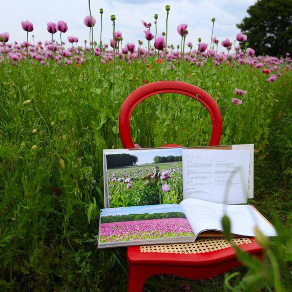 Das Buch BODYPAINTING IN NATURE von Künstler Jörg Düsterwald wird mit einem roten Stuhl an einem Originalplatz des Kunstprojektes NATURE ART gezeigt.